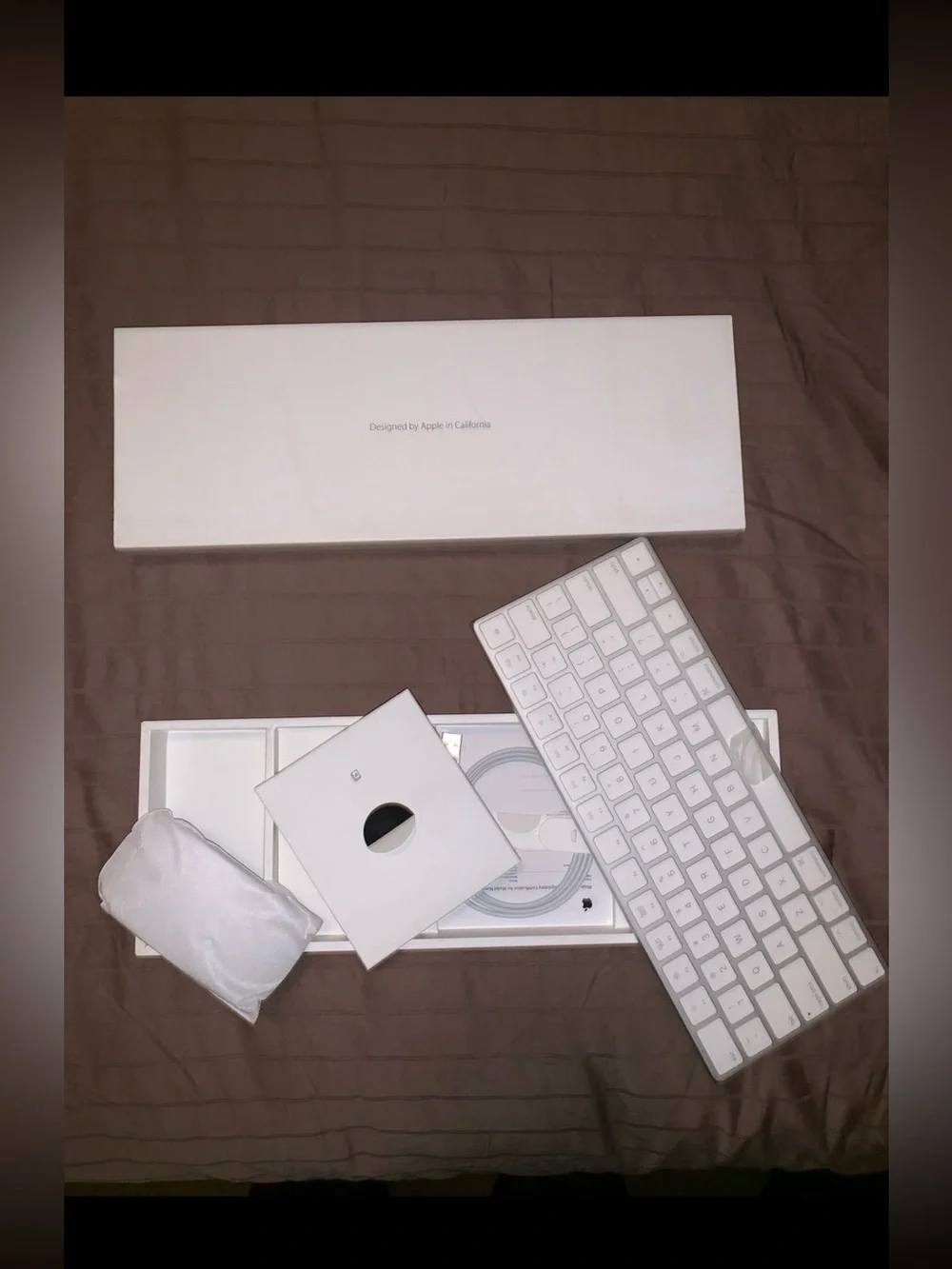 Apple magic mouse